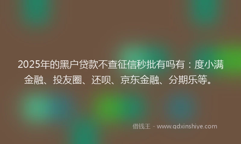 2025年的黑户贷款不查征信秒批有吗有：度小满金融、投友圈、还呗、京东金融、分期乐等。