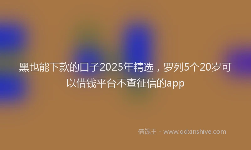 黑也能下款的口子2025年精选，罗列5个20岁可以借钱平台不查征信的app