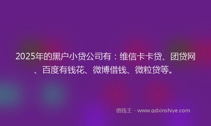 2025年的黑户小贷公司有：维信卡卡贷、团贷网、百度有钱花、微博借钱、微粒贷等。