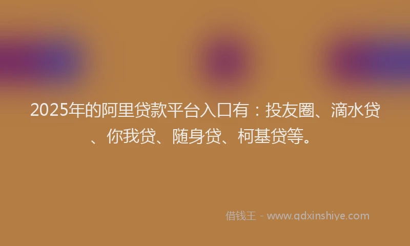 2025年的阿里贷款平台入口有：投友圈、滴水贷、你我贷、随身贷、柯基贷等。