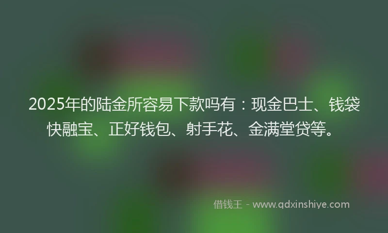 2025年的陆金所容易下款吗有：现金巴士、钱袋快融宝、正好钱包、射手花、金满堂贷等。