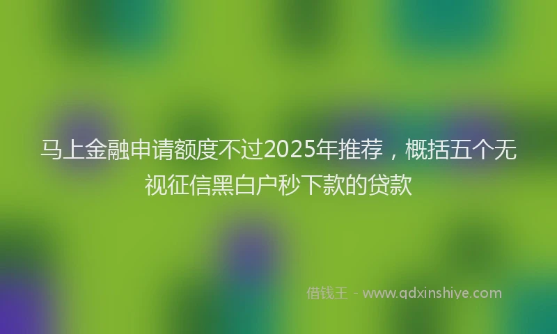 马上金融申请额度不过2025年推荐，概括五个无视征信黑白户秒下款的贷款