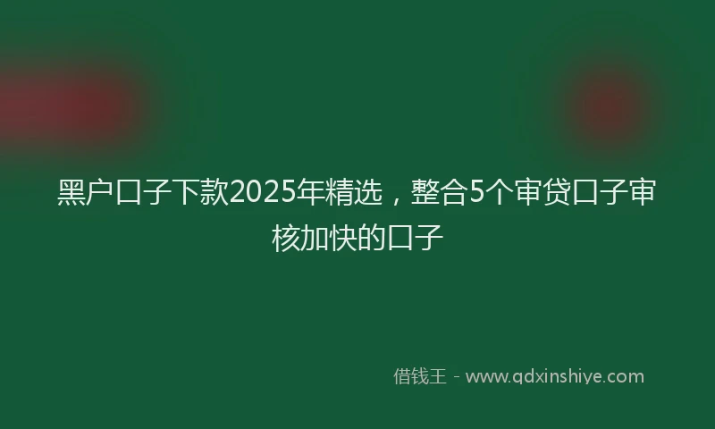 黑户口子下款2025年精选，整合5个审贷口子审核加快的口子