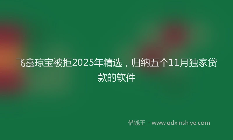 飞鑫琼宝被拒2025年精选，归纳五个11月独家贷款的软件