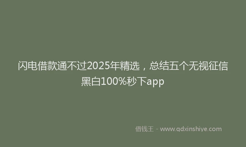 闪电借款通不过2025年精选，总结五个无视征信黑白100%秒下app