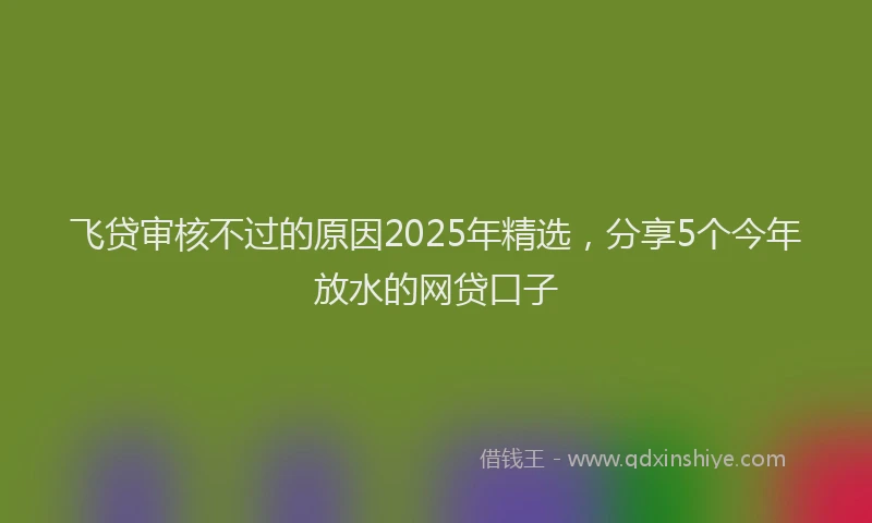 飞贷审核不过的原因2025年精选，分享5个今年放水的网贷口子