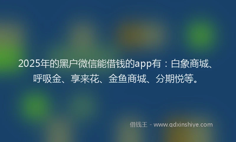 2025年的黑户微信能借钱的app有：白象商城、呼吸金、享来花、金鱼商城、分期悦等。