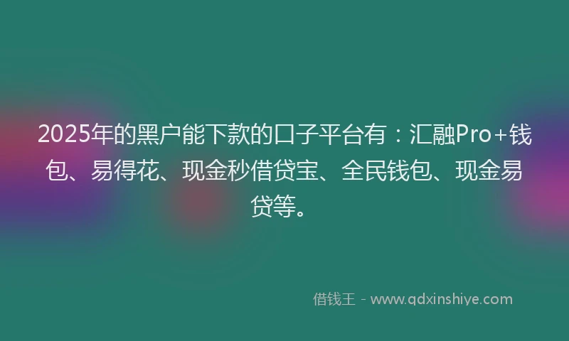 2025年的黑户能下款的口子平台有：汇融Pro+钱包、易得花、现金秒借贷宝、全民钱包、现金易贷等。