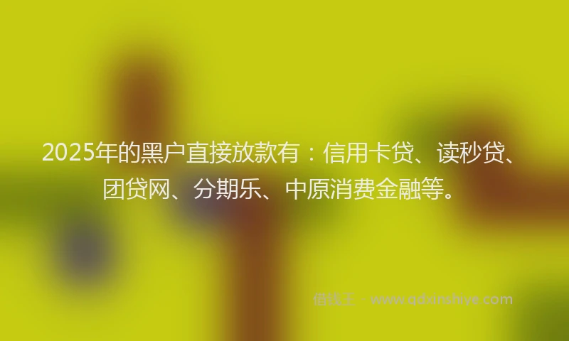 2025年的黑户直接放款有:信用卡贷、读秒贷、团贷网、分期乐、中原消费金融等。