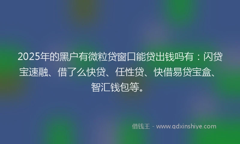 2025年的黑户有微粒贷窗口能贷出钱吗有：闪贷宝速融、借了么快贷、任性贷、快借易贷宝盒、智汇钱包等。