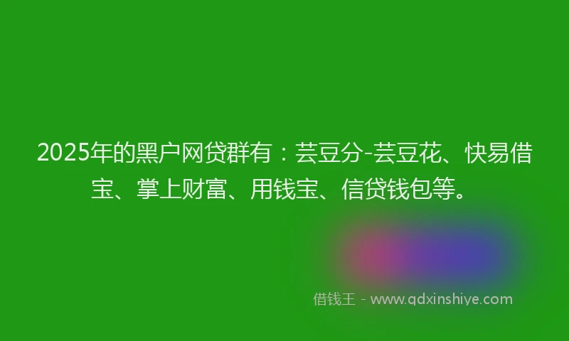 2025年的黑户网贷群有：芸豆分-芸豆花、快易借宝、掌上财富、用钱宝、信贷钱包等。