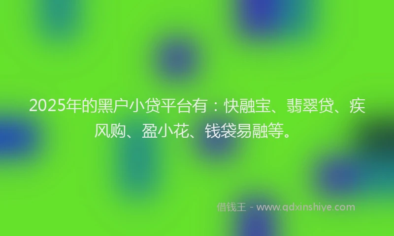 2025年的黑户小贷平台有：快融宝、翡翠贷、疾风购、盈小花、钱袋易融等。