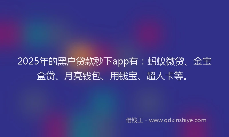 2025年的黑户贷款秒下app有：蚂蚁微贷、金宝盒贷、月亮钱包、用钱宝、超人卡等。