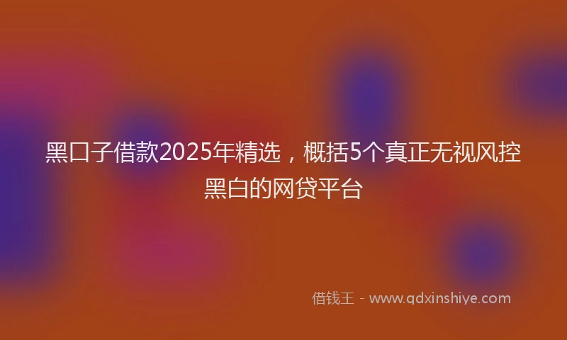 黑口子借款2025年精选，概括5个真正无视风控黑白的网贷平台