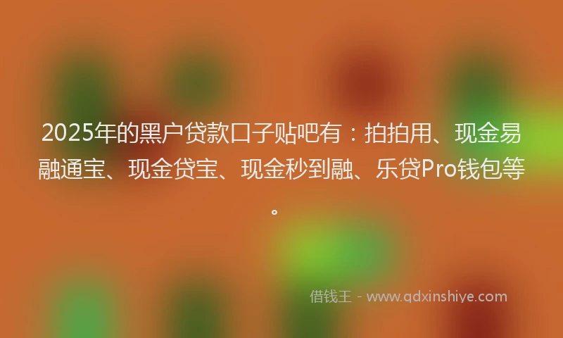 2025年的黑户贷款口子贴吧有：拍拍用、现金易融通宝、现金贷宝、现金秒到融、乐贷Pro钱包等。