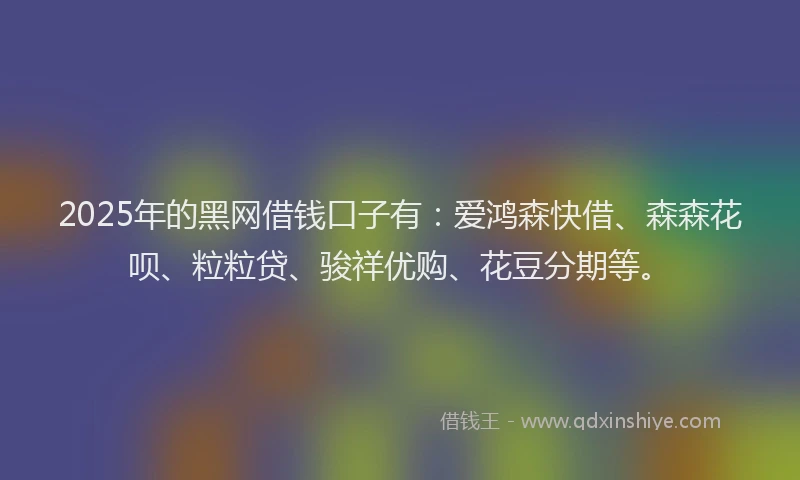 2025年的黑网借钱口子有：爱鸿森快借、森森花呗、粒粒贷、骏祥优购、花豆分期等。