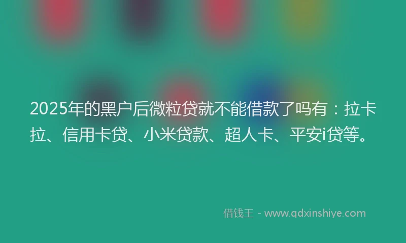 2025年的黑户后微粒贷就不能借款了吗有：拉卡拉、信用卡贷、小米贷款、超人卡、平安i贷等。
