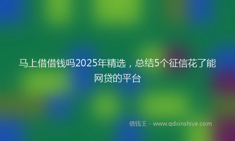 马上借借钱吗2025年精选，总结5个征信花了能网贷的平台