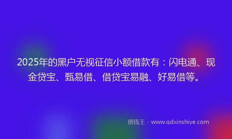 2025年的黑户无视征信小额借款有：闪电通、现金贷宝、甄易借、借贷宝易融、好易借等。