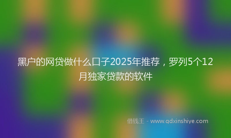 黑户的网贷做什么口子2025年推荐，罗列5个12月独家贷款的软件