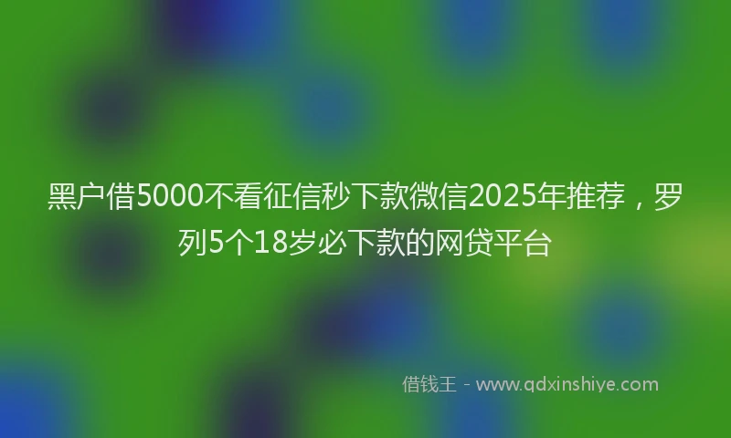 黑户借5000不看征信秒下款微信2025年推荐，罗列5个18岁必下款的网贷平台