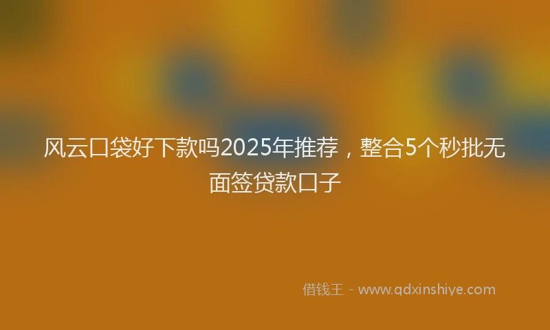 风云口袋好下款吗2025年推荐，整合5个秒批无面签贷款口子
