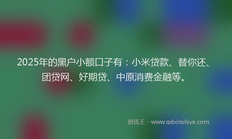 2025年的黑户小额口子有：小米贷款、替你还、团贷网、好期贷、中原消费金融等。
