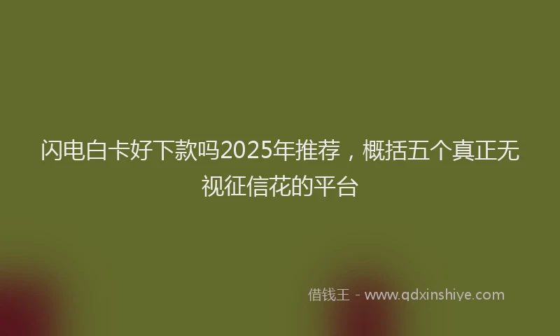 闪电白卡好下款吗2025年推荐，概括五个真正无视征信花的平台