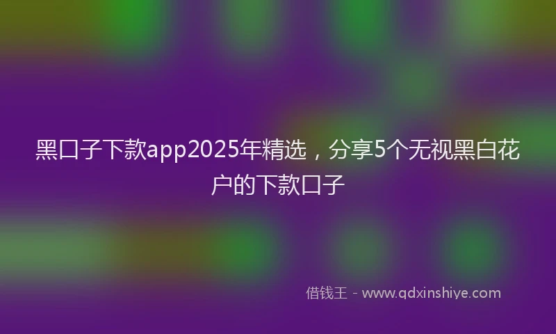 黑口子下款app2025年精选，分享5个无视黑白花户的下款口子