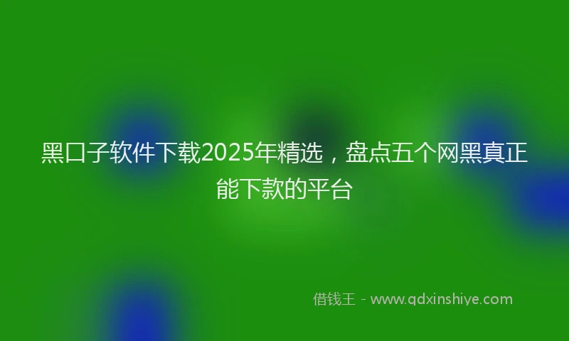 黑口子软件下载2025年精选，盘点五个网黑真正能下款的平台
