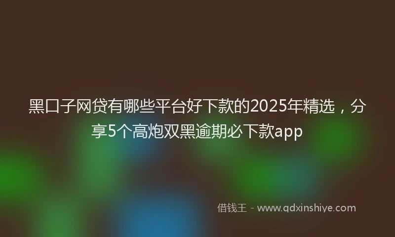 黑口子网贷有哪些平台好下款的2025年精选，分享5个高炮双黑逾期必下款app