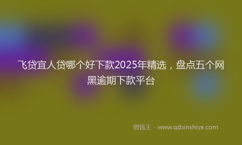 飞贷宜人贷哪个好下款2025年精选，盘点五个网黑逾期下款平台