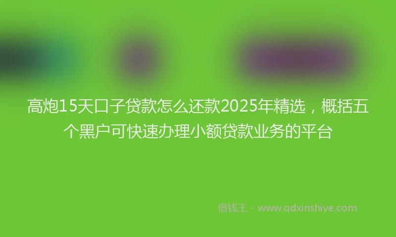 高炮15天口子贷款怎么还款2025年精选，概括五个黑户可快速办理小额贷款业务的平台