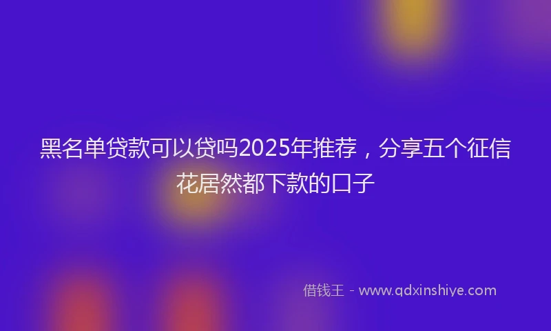 黑名单贷款可以贷吗2025年推荐，分享五个征信花居然都下款的口子