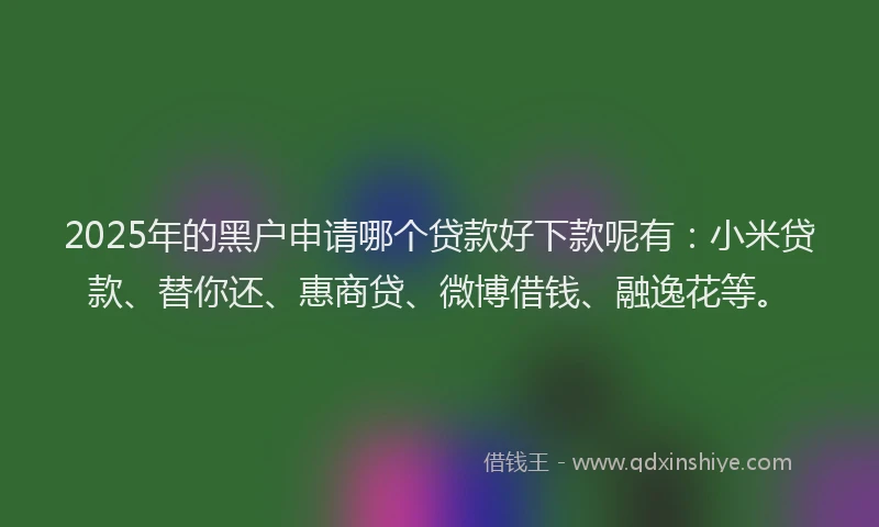 2025年的黑户申请哪个贷款好下款呢有:小米贷款、替你还、惠商贷、微博借钱、融逸花等。