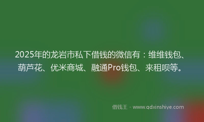 2025年的龙岩市私下借钱的微信有:维维钱包、葫芦花、优米商城、融通Pro钱包、来租呗等。