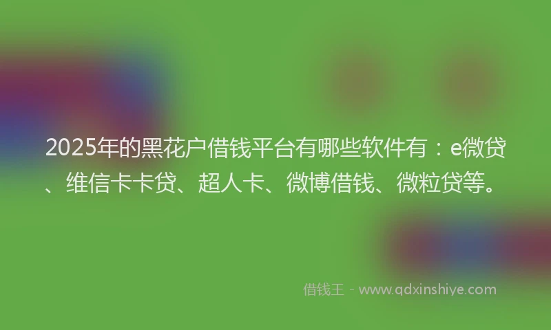 2025年的黑花户借钱平台有哪些软件有：e微贷、维信卡卡贷、超人卡、微博借钱、微粒贷等。