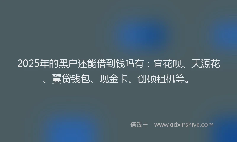 2025年的黑户还能借到钱吗有：宜花呗、天源花、翼贷钱包、现金卡、创硕租机等。