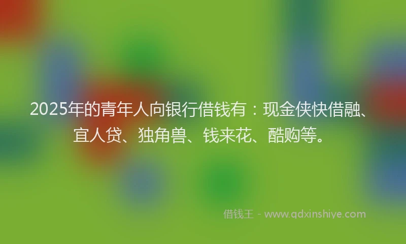 2025年的青年人向银行借钱有：现金侠快借融、宜人贷、独角兽、钱来花、酷购等。