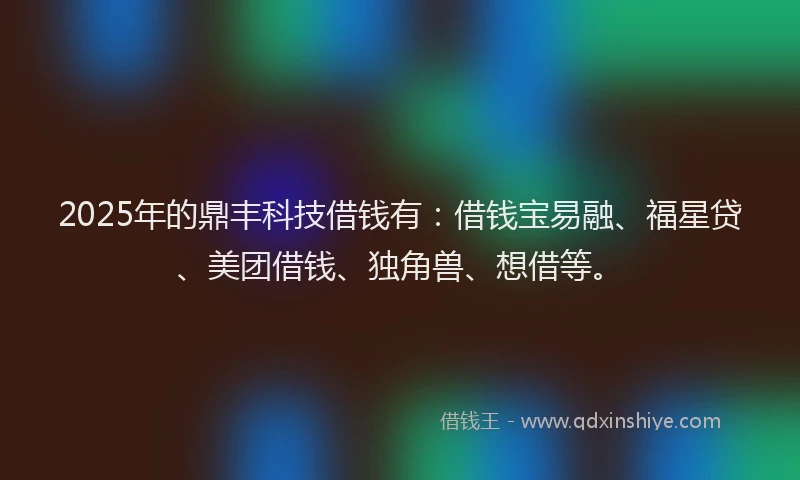 2025年的鼎丰科技借钱有：借钱宝易融、福星贷、美团借钱、独角兽、想借等。