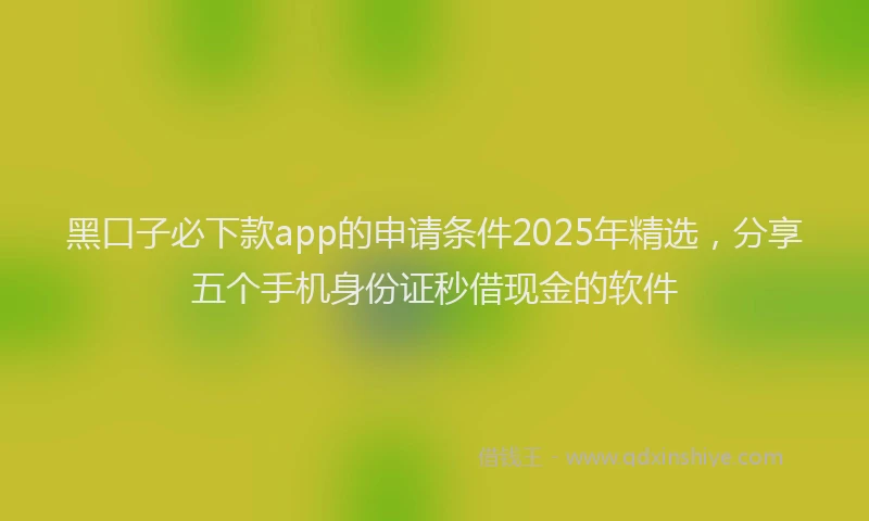 黑口子必下款app的申请条件2025年精选，分享五个手机身份证秒借现金的软件