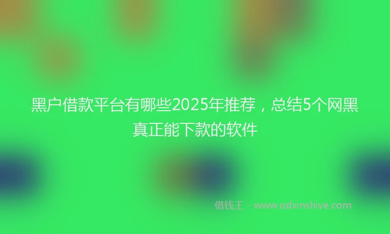 黑户借款平台有哪些2025年推荐，总结5个网黑真正能下款的软件