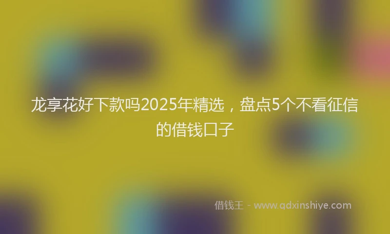 龙享花好下款吗2025年精选，盘点5个不看征信的借钱口子
