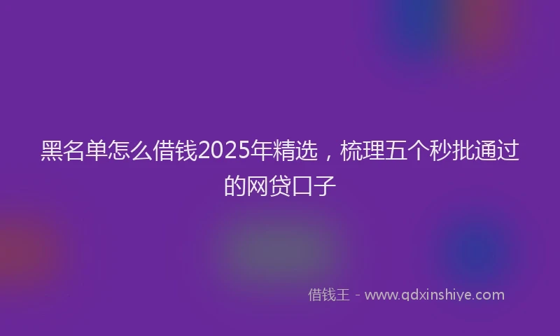 黑名单怎么借钱2025年精选，梳理五个秒批通过的网贷口子