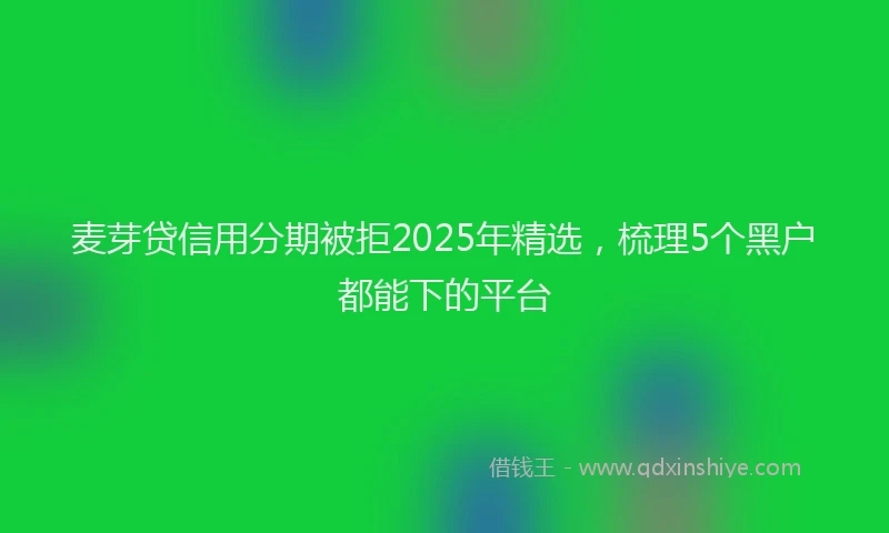麦芽贷信用分期被拒2025年精选，梳理5个黑户都能下的平台
