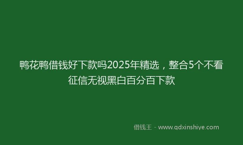 鸭花鸭借钱好下款吗2025年精选，整合5个不看征信无视黑白百分百下款
