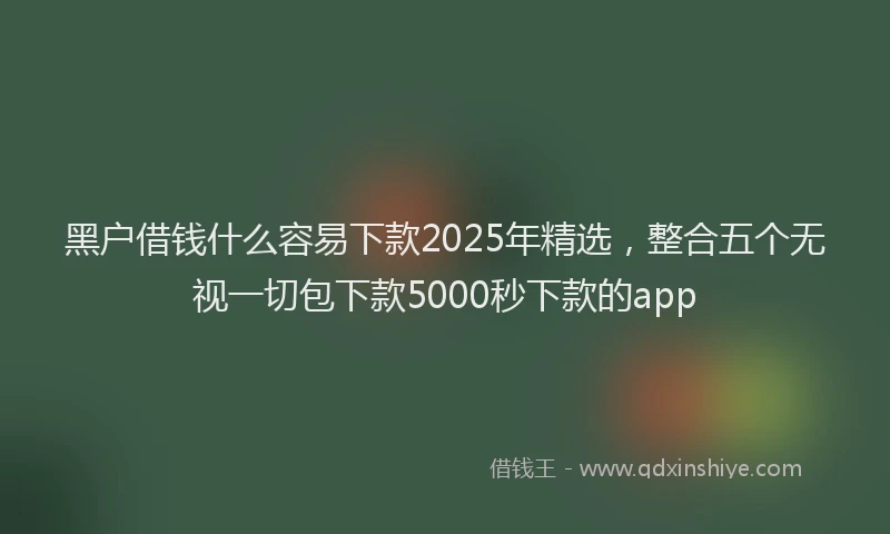 黑户借钱什么容易下款2025年精选，整合五个无视一切包下款5000秒下款的app