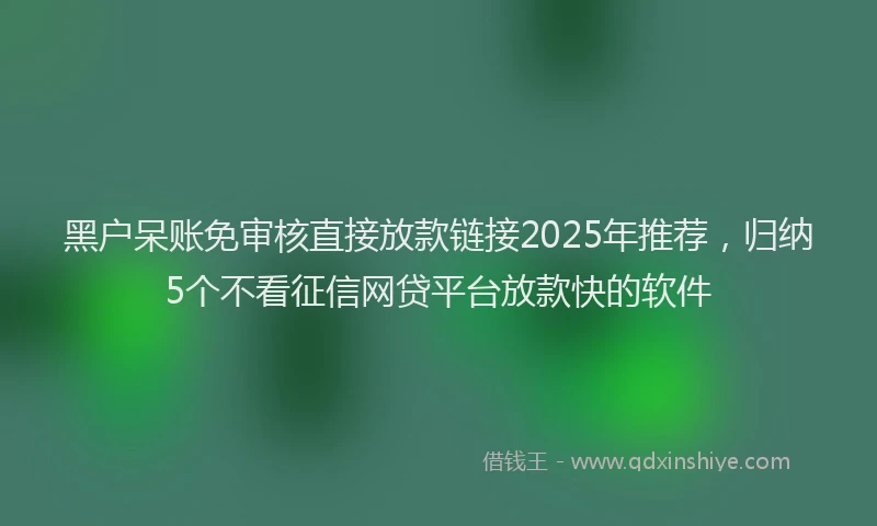 黑户呆账免审核直接放款链接2025年推荐，归纳5个不看征信网贷平台放款快的软件