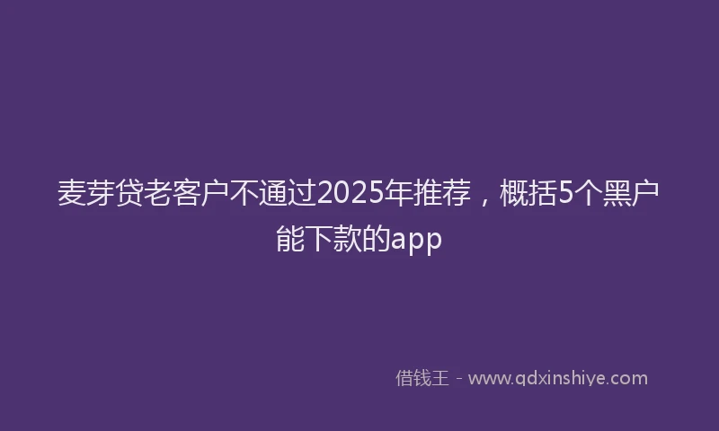 麦芽贷老客户不通过2025年推荐，概括5个黑户能下款的app