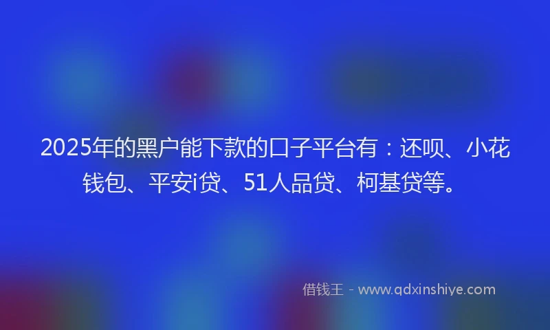 2025年的黑户能下款的口子平台有：还呗、小花钱包、平安i贷、51人品贷、柯基贷等。
